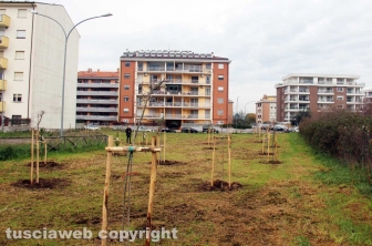 I boschi urbani di Viterbo