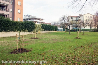 I boschi urbani di Viterbo