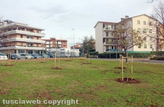 I boschi urbani di Viterbo