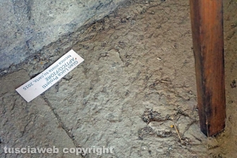 I capolavori del museo civico