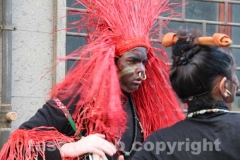 I carri di Ronciglione