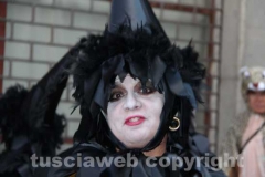 I carri di Ronciglione