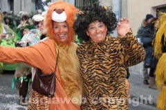 I carri di Ronciglione