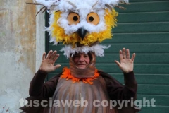 I carri di Ronciglione