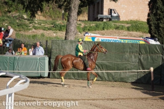Palio di Sant’Anselmo