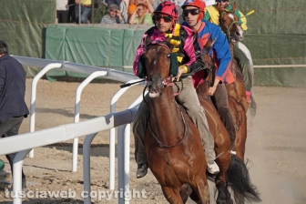 Palio di Sant’Anselmo