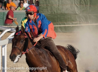 Palio di Sant’Anselmo