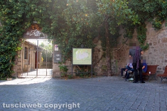 Viterbo - I cavi elettrici in piazza San Carluccio - 10 ottobre