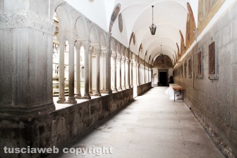 I chiostri e il santuario della Madonna della Quercia