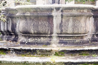 I chiostri e il santuario della Madonna della Quercia