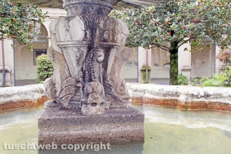 I chiostri e il santuario della Madonna della Quercia