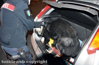 I controlli dei carabinieri