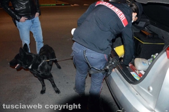 I controlli dei carabinieri
