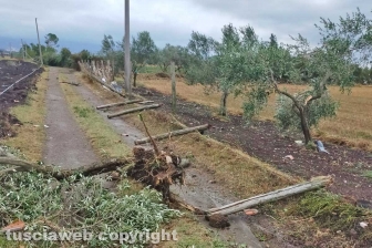 Maltempo - I danni all'abitazione in strada del Garinei