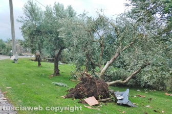 Maltempo - I danni all'abitazione in strada del Garinei