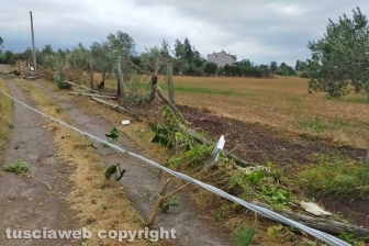 Maltempo - I danni all'abitazione in strada del Garinei