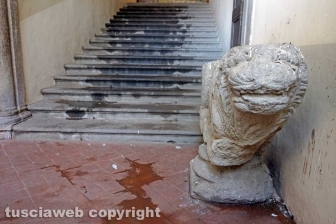 I due piccioni di Palazzo dei Priori