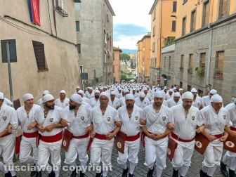 Viterbo - Santa Rosa 2024 - Il giro delle sette chiese