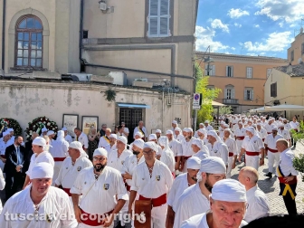 Viterbo - Santa Rosa 2023 - Il giro delle sette chiese