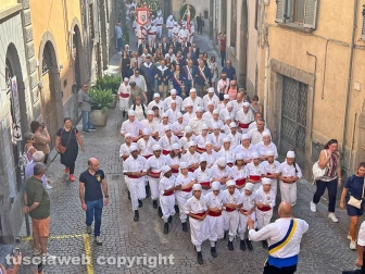 Viterbo - Santa Rosa 2023 - Il giro delle sette chiese