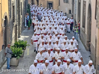 Viterbo - Santa Rosa 2023 - Il giro delle sette chiese