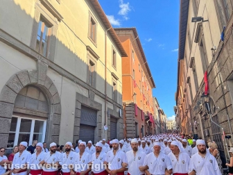 Viterbo - Santa Rosa 2023 - Il giro delle sette chiese