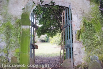 Capodimonte - Il fascino dell'isola Bisentina