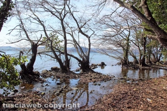 Capodimonte - Il fascino dell'isola Bisentina
