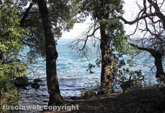 Capodimonte - Il fascino dell'isola Bisentina