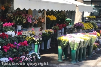 I fiori dei chioschi al cimitero San Lazzaro