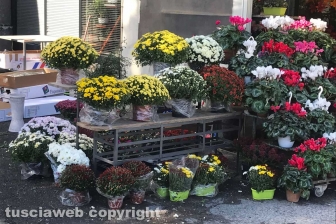 I fiori dei chioschi al cimitero San Lazzaro