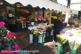 I fiori dei chioschi al cimitero San Lazzaro