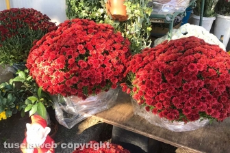 I fiori dei chioschi al cimitero San Lazzaro