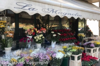 I fiori dei chioschi al cimitero San Lazzaro