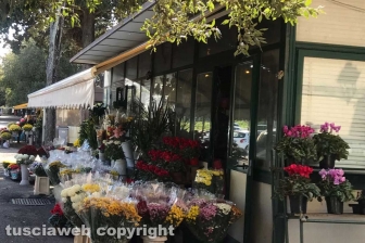 I fiori dei chioschi al cimitero San Lazzaro