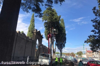 I fiori dei chioschi al cimitero San Lazzaro