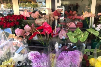 I fiori dei chioschi al cimitero San Lazzaro