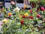 I fiori