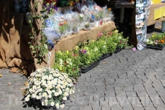 Tornano i fiori a San Pellegrino