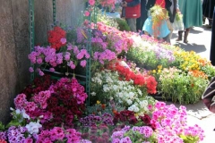 Tornano i fiori a San Pellegrino