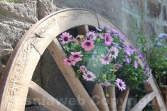Tornano i fiori a San Pellegrino