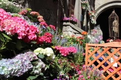 Tornano i fiori a San Pellegrino