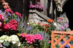 Tornano i fiori a San Pellegrino