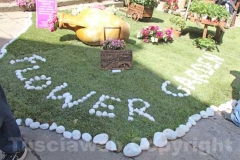 Tornano i fiori a San Pellegrino