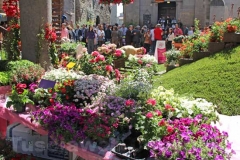 Tornano i fiori a San Pellegrino