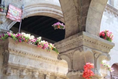 Tornano i fiori a San Pellegrino