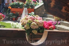 Tornano i fiori a San Pellegrino