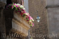Tornano i fiori a San Pellegrino