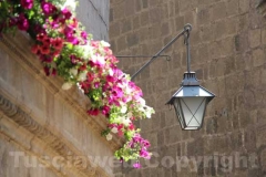 Tornano i fiori a San Pellegrino