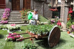 Tornano i fiori a San Pellegrino
